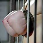 Fourth pic of BDSM darling Dixon Mason is more than ready to show her skills in this bondage gallery.