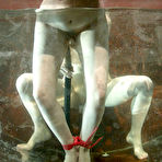 Third pic of Nude wet slave girls Pinky Lee and Dana DeArmond have sex on the floor and in water tank