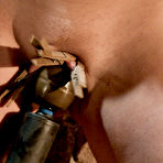 Third pic of Maestro fills Hollie Stevens' holes with toys before using his hard cock