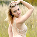 Second pic of Neksi Net Dress