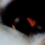 Fourth pic of Black and White - AmateurPorn