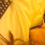 First pic of Beg all you want, you can&rsquo;t cum - AmateurPorn