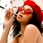 Third pic of Lily Lilac Exotic Painter