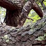 First pic of Nat092 - AmateurPorn