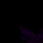 Fourth pic of From behind - AmateurPorn