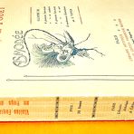 Fourth pic of Books for Sale: Van Rod, Aim&eacute;, Asmod&eacute;e, Visites fantastiques au pays du fouet. Librairie Artistique et &Eacute;dition Parisienne r&eacute;unies. Paris 1922. Illustrated by G.Topfer | Paris Olympia Press