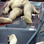 Third pic of Ernesto Muñiz : Rigor Mortis | SHOCKYOU