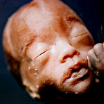 Fourth pic of Andres Serrano - The Morgue | SHOCKYOU