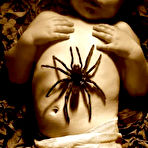 Second pic of Joshua Hoffine : l'Horror family show | SHOCKYOU