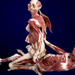 First pic of Eliza Kinchington : Danse macabre | SHOCKYOU