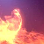 First pic of Pretty French Go To The USA To Get Fucked By A Big Cock - AmateurPorn