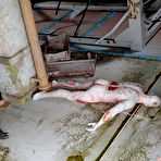 Third pic of 3DX Joy | Updates page 3