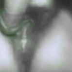 Third pic of Ultimate Amateur Creampie Compilation 2 - AmateurPorn