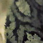 First pic of Cousin surprise blowjob - AmateurPorn