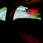 Second pic of Angolan amateur fucks a lot - AmateurPorn