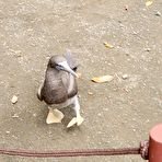 Second pic of Vicky Vette Vicky at home