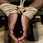 First pic of Divine Bitches