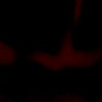 Fourth pic of Getting a blowjob from wifey - AmateurPorn