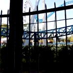 Fourth pic of CUTE TEEN SWALLOWS HOT CUM - PUBLIC BLOWJOB ON FERRIS WHEEL - AmateurPorn