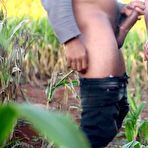 First pic of Hot anal fuck in a cornfield - Amateur Ana Chaude - AmateurPorn