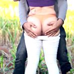 Fourth pic of Hot anal fuck in a cornfield - Amateur Ana Chaude - AmateurPorn