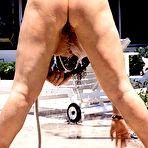 Fourth pic of Lisa Phillips Vintage Porn | The Hairy Lady Blog