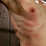 Second pic of Isis Love, Madison Young and Ariel X in insane bdsm scene full of torture