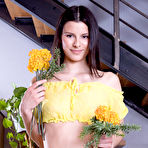First pic of Viola Kat nude in erotic PRESENTING VIOLA KAT gallery - MetArt.com