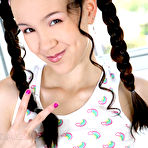 Second pic of TinyTabby.com