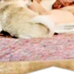 First pic of Bbw wife rides - AmateurPorn