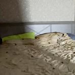 First pic of Busty MILF sucks a stiffy before shagging - AmateurPorn