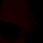 Fourth pic of Dirty talking GF taking it from the back pt. 1 - AmateurPorn