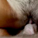 Third pic of Shy Thai Babe Gets Her Hairy Pussy Cum-Filled - FAPCAT