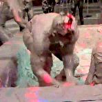 First pic of Massive Mud Fight - FAPCAT