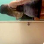 Fourth pic of 4 NAKED BABES DANCING HOT PERISCOPE - FAPCAT