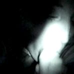Third pic of Horny GF Sucks Hard - FAPCAT