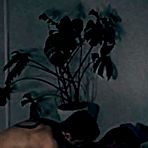 Second pic of Neighbor Caught us Fucking during Quarantine and made a video!! - AmateurPorn