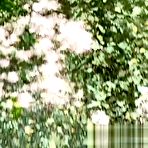 First pic of Babe Masturbate Pussy Orgasm Outdoors - AmateurPorn
