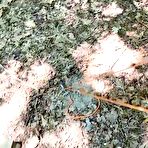 Fourth pic of Babe Masturbate Pussy Orgasm Outdoors - AmateurPorn