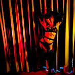 First pic of Miss Bat in Lingerie by Crazy Babe | Erotic Beauties