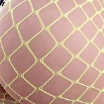 Second pic of All Anal: Penelope Rory Bring It Back on PornHD - AmateurPorn