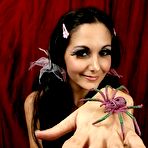 Fourth pic of Ava Addams Miss Muffet!