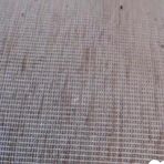 First pic of Hot neighbor lets me pound her pussy - AmateurPorn