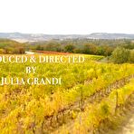 First pic of Tushy: Stunning Venera satisfies her anal DP fantasies on PornHD - AmateurPorn