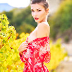 Second pic of Anakim Jones strips in the winery after a wine tasting event