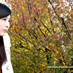First pic of Free japanese amateur arisu ありす xxx pics gallery