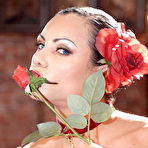 Third pic of Exotica: Beautiful dancer Exotica performs the... - Babes and Pornstars