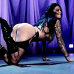 Second pic of Tera Patrick Tera Strip