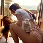 Third pic of Misc. Stuff: Animals - Sexy and Funny Forums