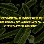 Third pic of Misc. Stuff: Science factoids - Sexy and Funny Forums